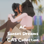 AC-Sunset Dreams logo