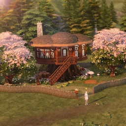 Secret Tiny Cabin