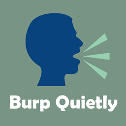 Burp Quietly project avatar