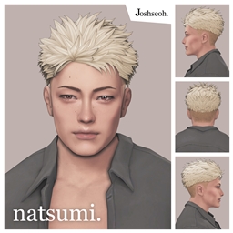 Natsumi Hair logo