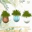Chlorophyll Garden 🌱🌿👩‍🌾🍀🌼 avatar