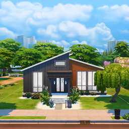Scandinavian Home