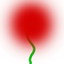 more plant logo