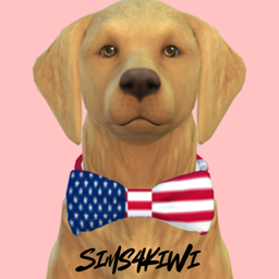 July 4th Dog Collar