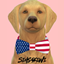 July 4th Dog Collar logo