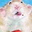 RATTcoreMashupSMP logo
