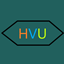 HensyVmax logo