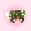The Faye Pixies Accessories Pack logo