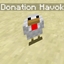 DonationHavok logo