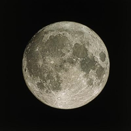Race To The Moon (Remastered) logo