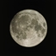 Race To The Moon (Remastered) logo