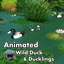 Animated Wild Duck & Ducklings ~ Animal ~ Ducks ~ Bird ~ Pet logo
