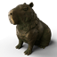 Capybara Satue avatar