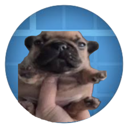 Create: Pibblefied project image
