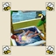 More Autonomous Kiddie Pool Lounging logo