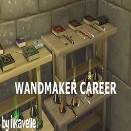 WANDMAKER CAREER TRANSLATION INTO SPANISH