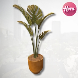 Minimal Lorena Plant project avatar