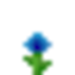 Blue dandelion