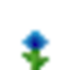 Blue dandelion logo