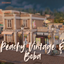 Peachy Vintage & Boba – Sims 4 Thrift Store & Bubble Tea Café logo