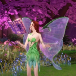 Fairies vs. Witches mod_Traduction Française