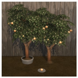 🍊🌿Grapefruit by: BrazenLotus — Spanish Translation ES