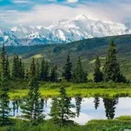 Survival in the Wilderness- Alaska logo