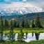 Survival in the Wilderness- Alaska logo