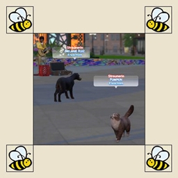 Stray Cats & Dogs in San Myshuno