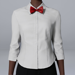 Casual Shirt and Bowtie project avatar