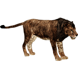 primal resources project image