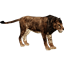 primal resources logo
