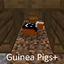 Guinea Pigs Extras logo