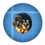 Create Conquested logo