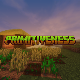 Primitiveness project image