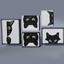 pantingblackcat_1EDCD79E avatar