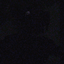 The Haunting of the Wendigo logo