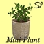 Mini Plant 🌿 avatar