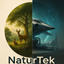 NaturTek logo