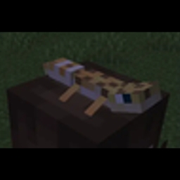 PASTP project image