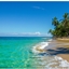 Caribbean Survival logo