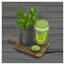 🍵 Matcha Powder by BrazenLotus — Spanish Translation 🍵 logo