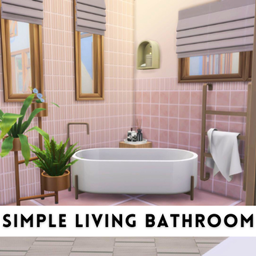 Simple Living Bathroom