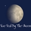 Fae Fed By The Moon: Emotional Force Mod for Enchanted by Nature! logo