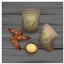 🌽 Cornflour by BrazenLotus — Spanish Translation 🌽 logo