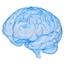 No Thinking Required logo