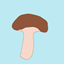 Funguy and mushrooms logo