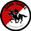 DHT logo