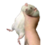 Fat Rat Totem of Undying logo
