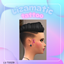 Liz T0029 logo